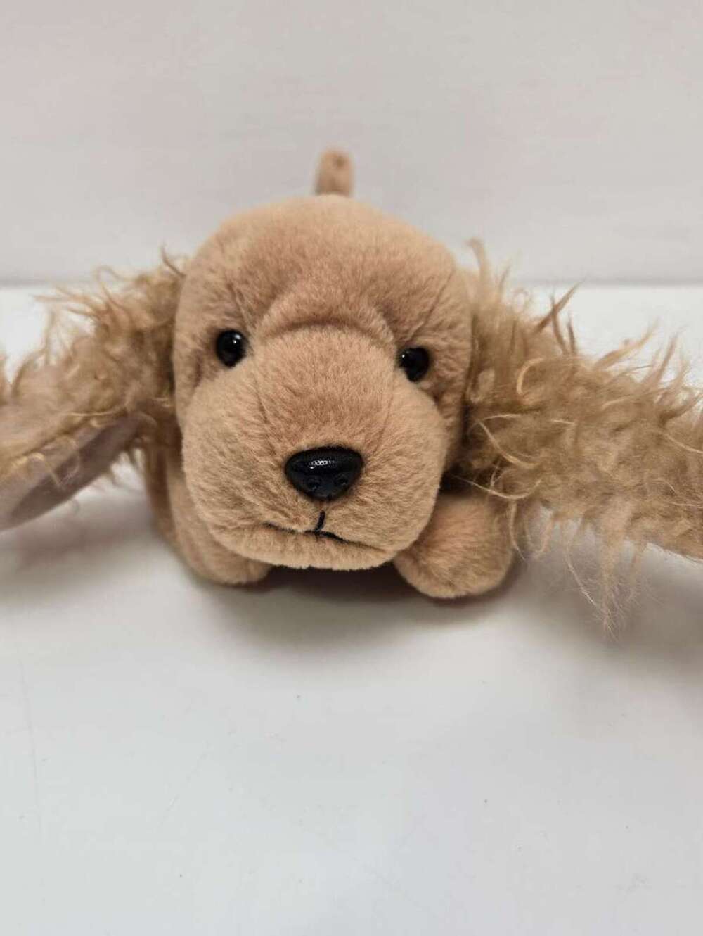 Ty Beanie Baby “Spunky” the Cocker Spaniel Indonesia with Canadian Tush